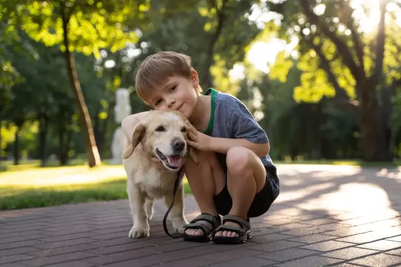 Conheça as 20 raças de cães mais perigosas para crianças